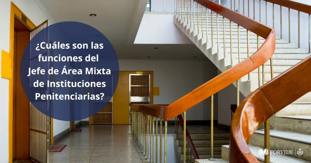 ¿Cuáles son las funciones del Jefe de Área Mixta de Instituciones Penitenciarias?